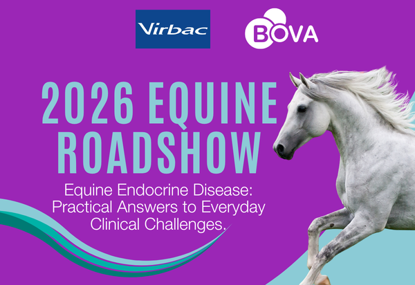 Equine Endocrine Disease Bova Aus Equine Roadshow 2026