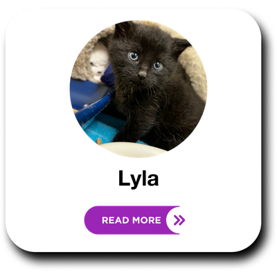 Lyla