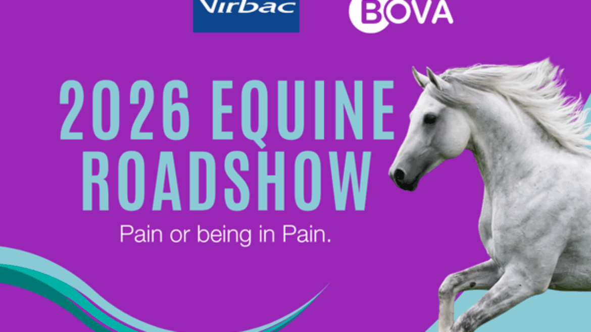 Pain or Being in Pain | Bova Aus Equine Roadshow 2026