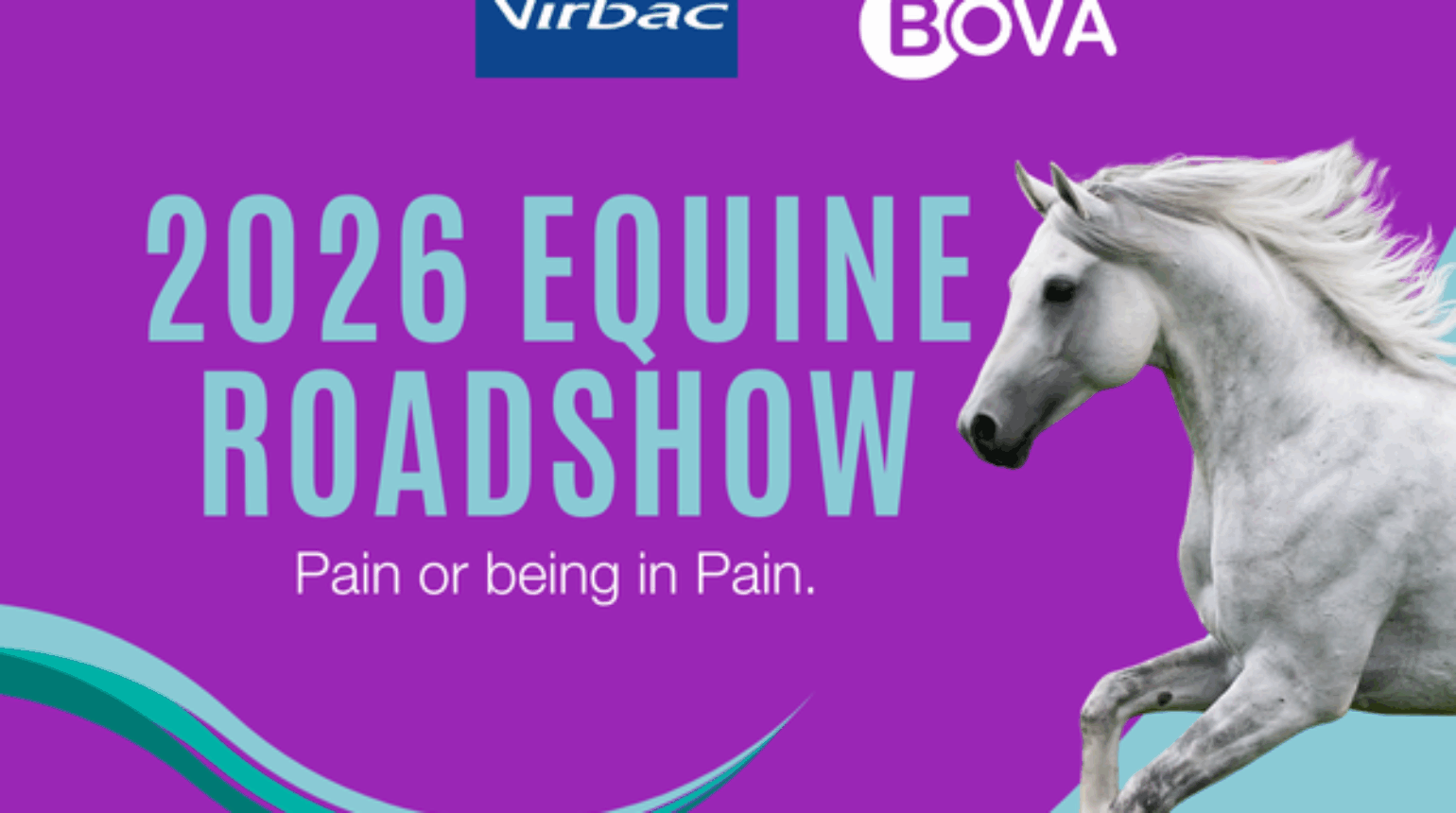 Pain or Being in Pain | Bova Aus Equine Roadshow 2026