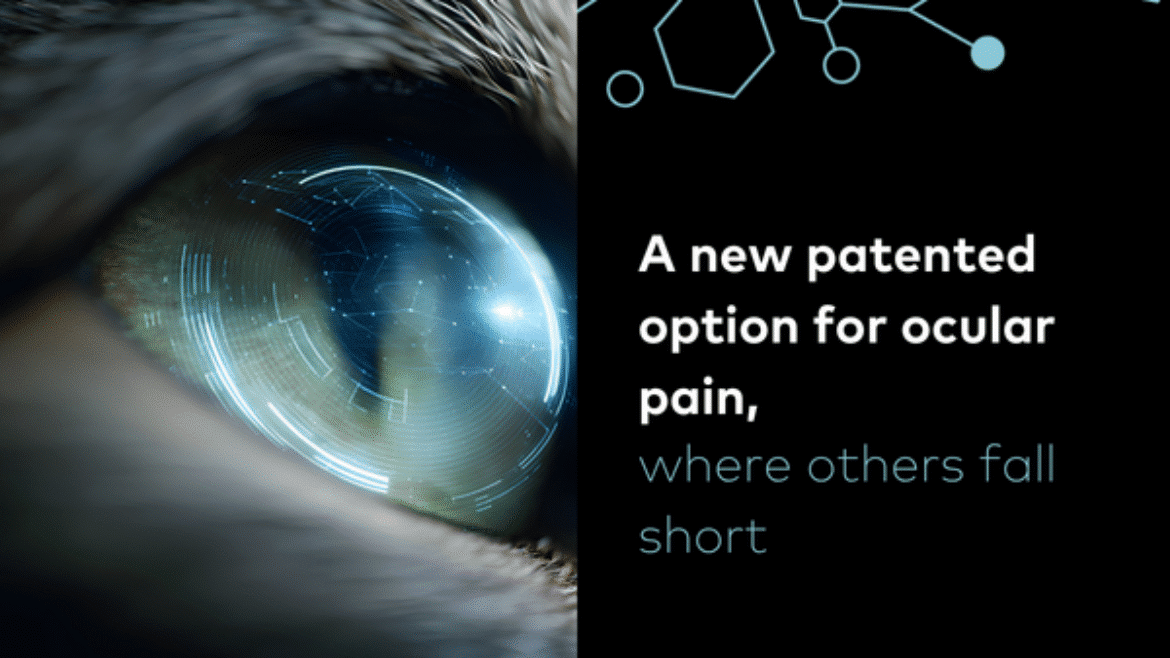 A New Approach to Managing Ocular Pain in Veterinary Practice
