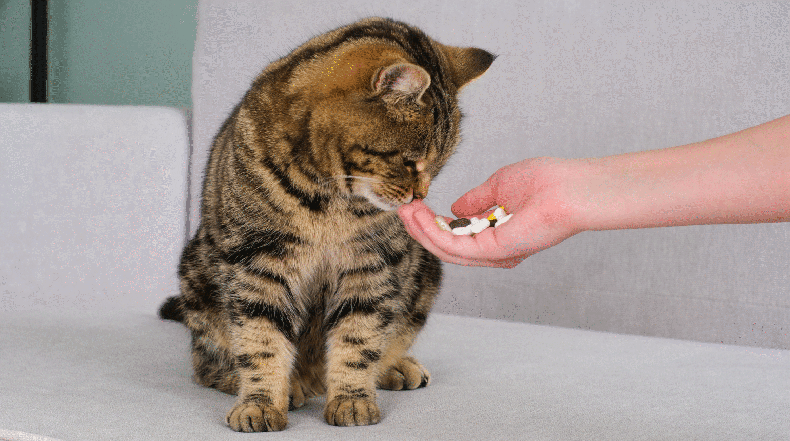 Baseline medications: A tiered approach