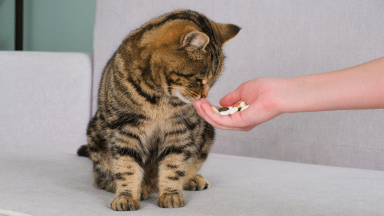 Baseline medications A tiered approach