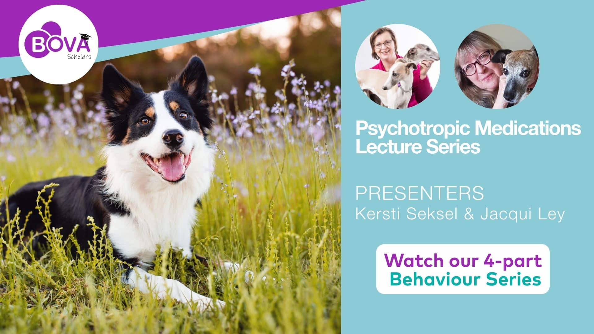 Psychotropic Medications Lecture Series