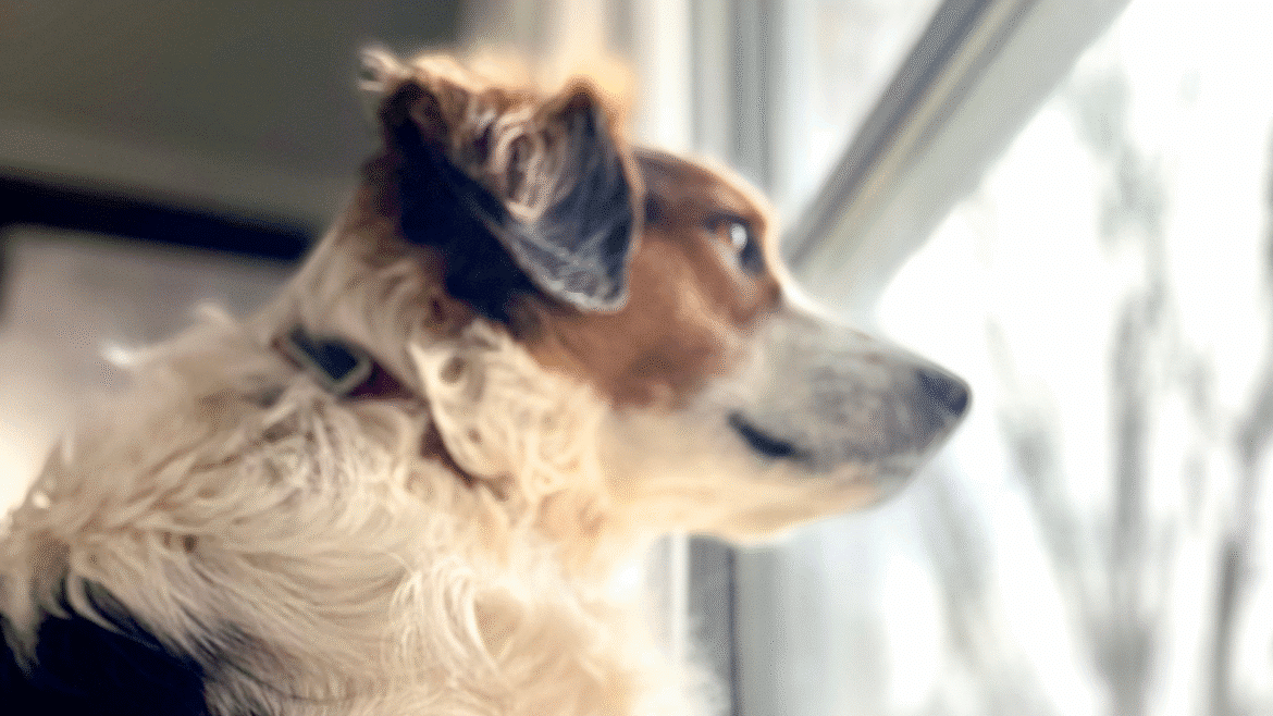 Supportive medications: Sometimes you need a little help
