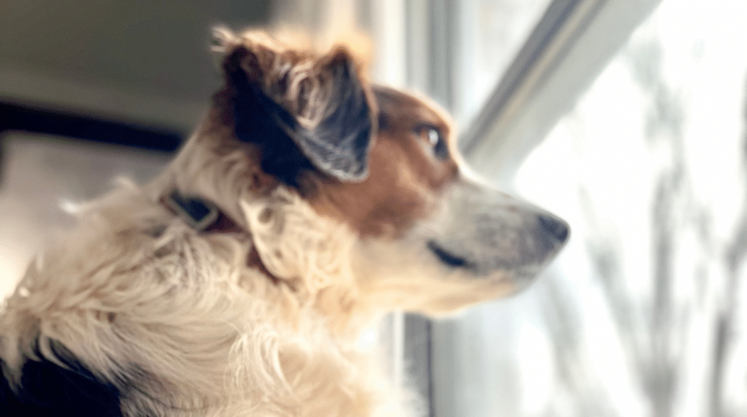 Supportive medications: Sometimes you need a little help
