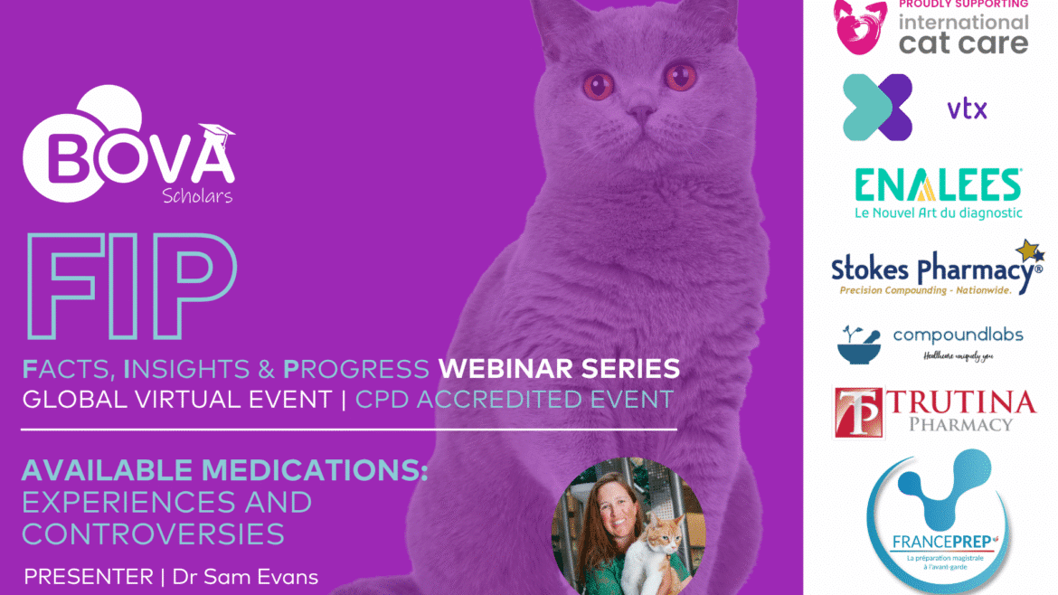 Available medications: experiences and controversies