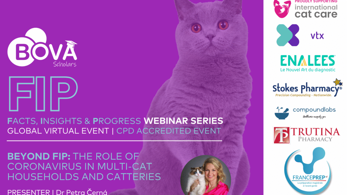 Beyond FIP: the role of coronavirus in multi-cat households and catteries
