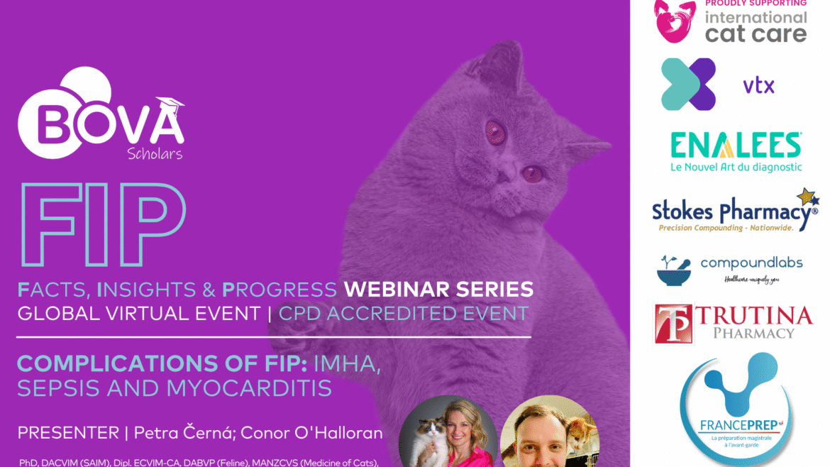 Complications of FIP: IMHA, sepsis and myocarditis