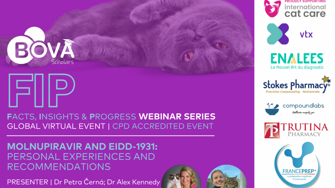 Molnupiravir and EIDD-1931: personal experiences and recommendations