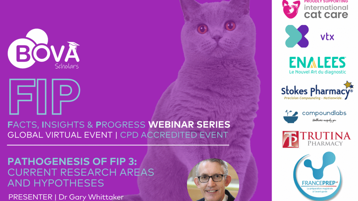Pathogenesis of FIP: current research areas and hypotheses
