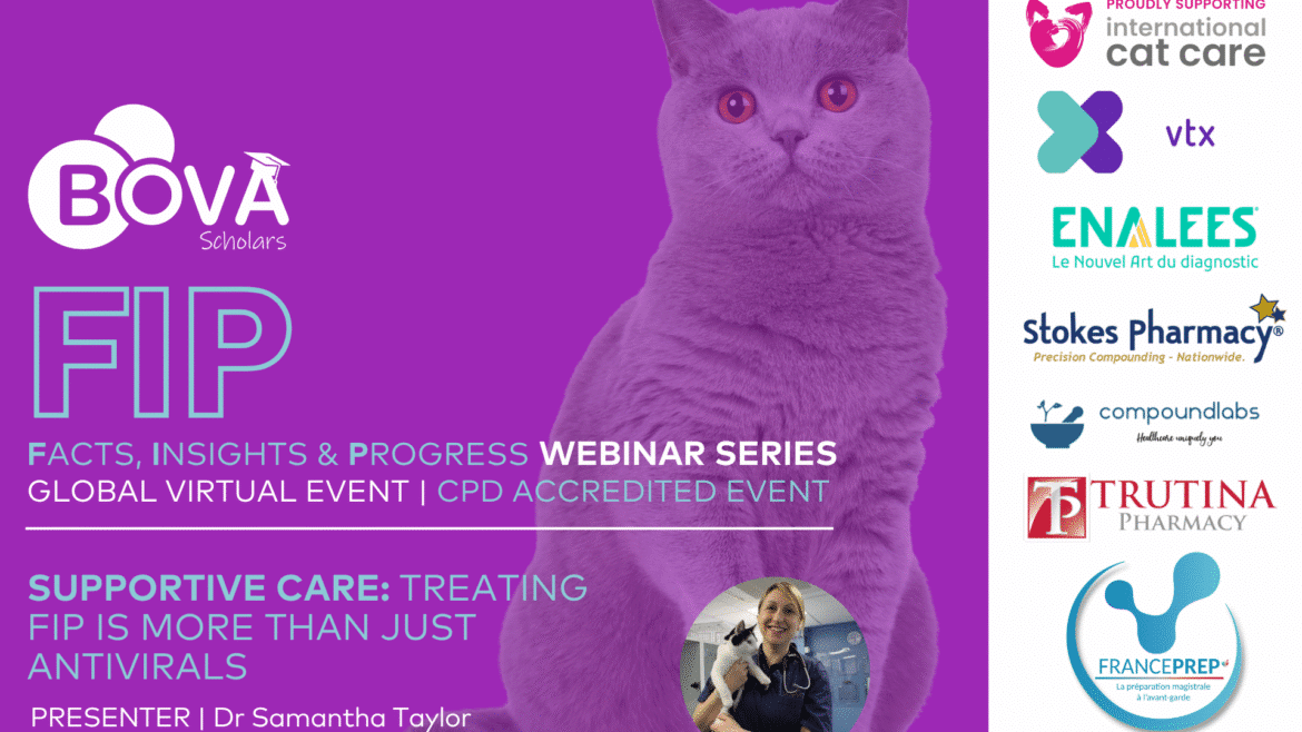 Supportive care: treating FIP is more than just antivirals