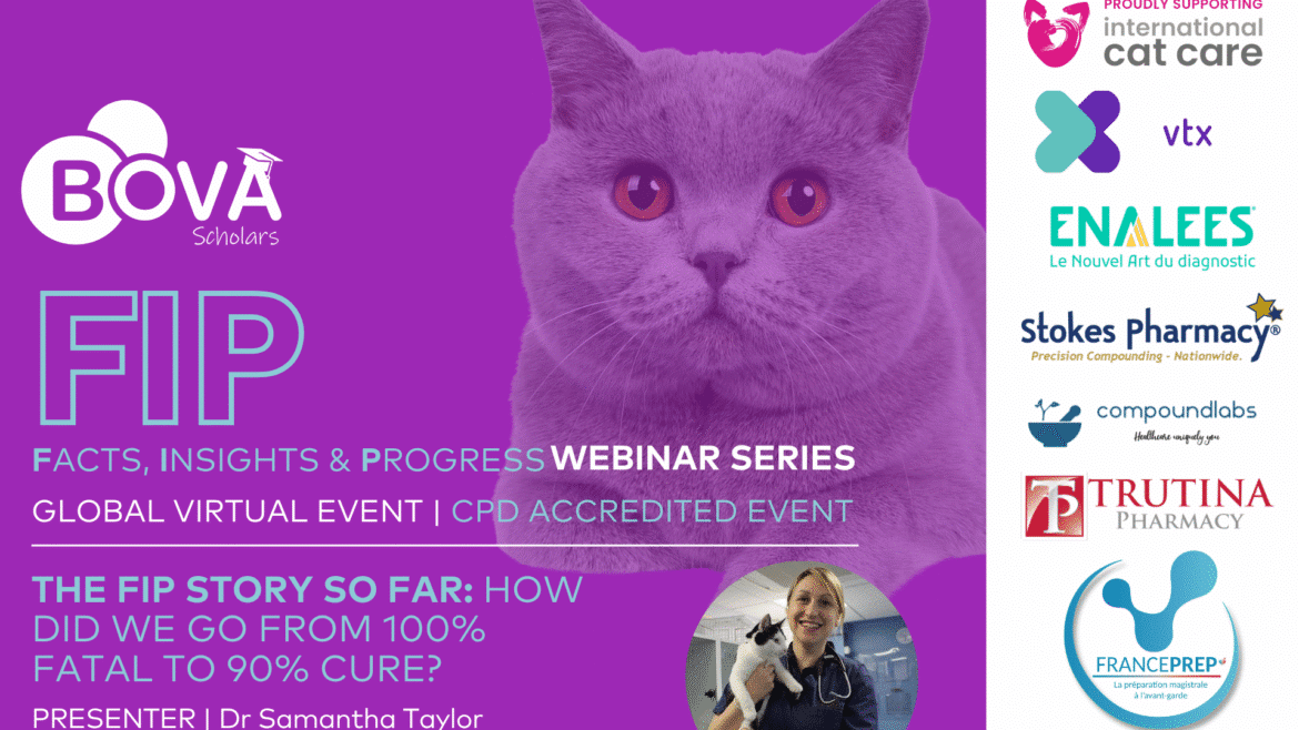 The FIP story so far: how did we go from 100% fatal to 90% cure?