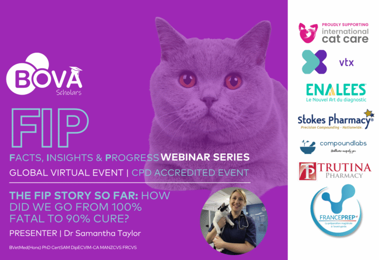 The FIP story so far: how did we go from 100% fatal to 90% cure?